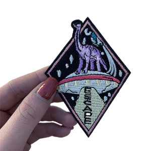 Dinosaur in space patch 1