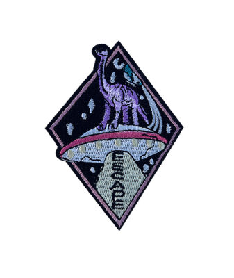 Dinosaur in space patch 2